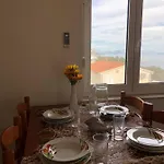 Mladen * טרוגיר
